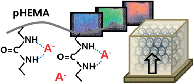 Graphical abstract: An anion sensing photonic gel by hydrogen bonding of anions to the N-allyl-N′-ethyl urea receptor