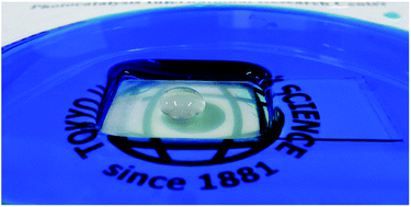 Graphical abstract: Development of sol–gel processed semi-transparent and self-cleaning superhydrophobic coatings