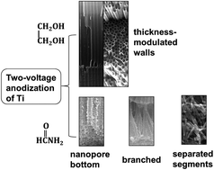 Graphical abstract: Fabrication of multilayered TiO2 nanotube arrays and separable nanotube segments