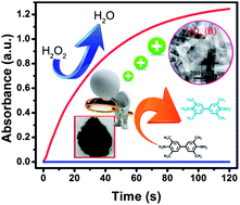 Graphical abstract: Monocrystalline VO2 (B) nanobelts: large-scale synthesis, intrinsic peroxidase-like activity and application in biosensing