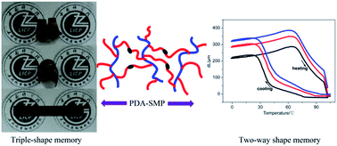 Graphical abstract: A tough shape memory polymer with triple-shape memory and two-way shape memory properties