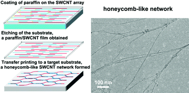 Graphical abstract: Honeycomb-like single-wall carbon nanotube networks