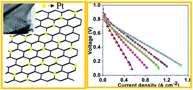 Graphical abstract: Platinum–graphene hybrid nanostructure as anode and cathode electrocatalysts in proton exchange membrane fuel cells