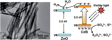 Graphical abstract: One-pot cation exchange synthesis of 1D porous CdS/ZnO heterostructures for visible-light-driven H2 evolution