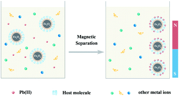 Graphical abstract: Novel core–shell structured superparamagnetic microspheres decorated with macrocyclic host molecules for specific recognition and magnetic removal of Pb(ii)