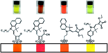 Graphical abstract: A study of dye anchoring points in half-squarylium dyes for dye-sensitized solar cells