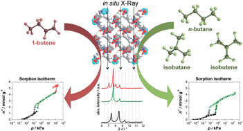 Graphical abstract: Structural flexibility of a copper-based metal–organic framework: sorption of C4-hydrocarbons and in situ XRD