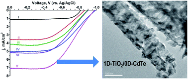Graphical abstract: Development of a highly efficient 1D/0D TiO2 nanotube/n-CdTe photoanode: single-step attachment, coverage, and size control by a solvothermal approach