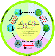 Graphical abstract: A novel self-healing poly(amic acid) ammonium salt hydrogel with temperature-responsivity and robust mechanical properties