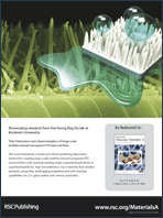 Graphical abstract: Back cover