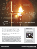 Graphical abstract: Back cover