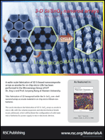 Graphical abstract: Back cover