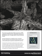 Graphical abstract: Inside back cover