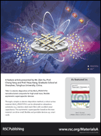 Graphical abstract: Back cover