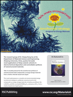 Graphical abstract: Back cover