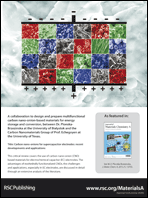 Graphical abstract: Back cover