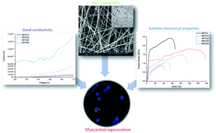 Graphical abstract: Biocompatibility evaluation of electrically conductive nanofibrous scaffolds for cardiac tissue engineering