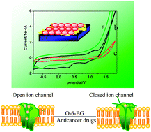 Graphical abstract: Nano-p–n junction heterostructure TiO2 nanobelts for the electrochemical detection of anticancer drug and biointeractions with cancer cells
