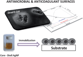 Graphical abstract: Design of simultaneous antimicrobial and anticoagulant surfaces based on nanoparticles and polysaccharides