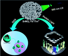 Graphical abstract: Hollow structured SrMoO4:Yb3+, Ln3+ (Ln = Tm, Ho, Tm/Ho) microspheres: tunable up-conversion emissions and application as drug carriers