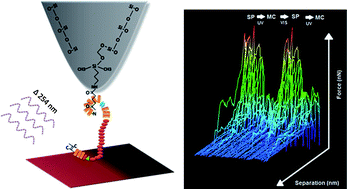 Graphical abstract: Optical switching of protein interactions on photosensitive–electroactive polymers measured by atomic force microscopy