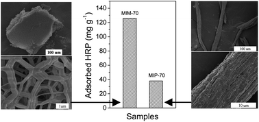 Graphical abstract: One-pot synthesis of a hierarchical PMO monolith with superior performance in enzyme immobilization