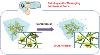 Graphical abstract: β-Cyclodextrin-crosslinked alginate gel for patient-controlled drug delivery systems: regulation of host–guest interactions with mechanical stimuli