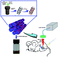 Graphical abstract: Monodisperse magnetites anchored onto carbon nanotubes: a platform for cell imaging, magnetic manipulation and enhanced photothermal treatment of tumors