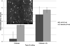 Graphical abstract: Chitosan and chitosan–ZnO-based complex nanoparticles: formation, characterization, and antibacterial activity