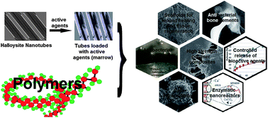 Graphical abstract: Halloysite clay nanotubes as a ceramic “skeleton” for functional biopolymer composites with sustained drug release