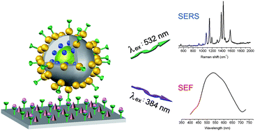 Graphical abstract: Bifunctional quantum dot-decorated Ag@SiO2 nanostructures for simultaneous immunoassays of surface-enhanced Raman scattering (SERS) and surface-enhanced fluorescence (SEF)