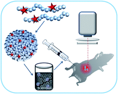 Graphical abstract: Fluorescence imaging of cancer tissue based on metal-free polymeric nanoparticles – a review