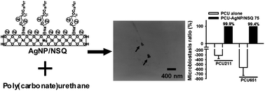 Graphical abstract: Amphiphilic silver-delaminated clay nanohybrids and their composites with polyurethane: physico-chemical and biological evaluations