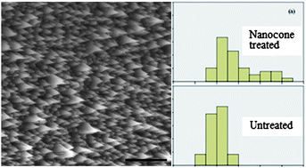 Graphical abstract: A diamond nanocone array for improved osteoblastic differentiation