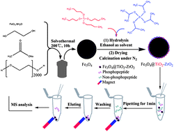 Graphical abstract: Facile synthesis of Fe3O4@TiO2–ZrO2 and its application in phosphopeptide enrichment