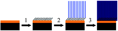 Graphical abstract: Thin film hydrophilic electroactive polymer coatings for bioelectrodes