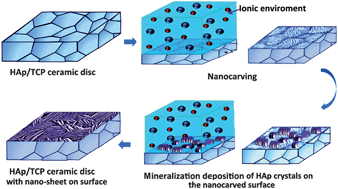 Graphical abstract: Ordered HAp nanoarchitecture formed on HAp–TCP bioceramics by “nanocarving” and mineralization deposition and its potential use for guiding cell behaviors