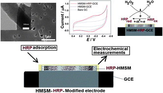 Graphical abstract: Organic/inorganic hybrid mesoporous silica membrane rapidly synthesized by a microwave-assisted method and its application in enzyme adsorption and electrocatalysis
