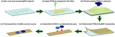 Graphical abstract: Self-deployable current sources fabricated from edible materials