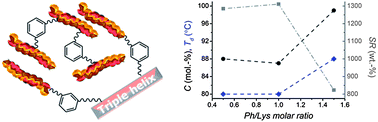 Graphical abstract: Triple-helical collagen hydrogels via covalent aromatic functionalisation with 1,3-phenylenediacetic acid