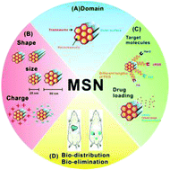 Graphical abstract: Theranostic applications of mesoporous silica nanoparticles and their organic/inorganic hybrids