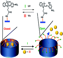 Graphical abstract: Light-induced and redox-triggered uptake and release of substrates to and from mesoporous SiO2 nanoparticles