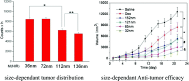 Graphical abstract: Size-dependent biodistribution and antitumor efficacy of polymer micelle drug delivery systems