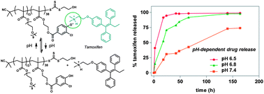 Graphical abstract: Novel pH-responsive nanovectors for controlled release of ionisable drugs
