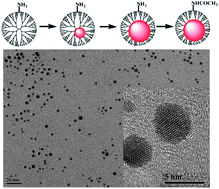 Graphical abstract: Facile synthesis of acetylated dendrimer-entrapped gold nanoparticles with enhanced gold loading for CT imaging applications