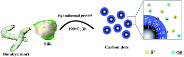 Graphical abstract: One-pot hydrothermal synthesis of highly luminescent nitrogen-doped amphoteric carbon dots for bioimaging from Bombyx mori silk – natural proteins