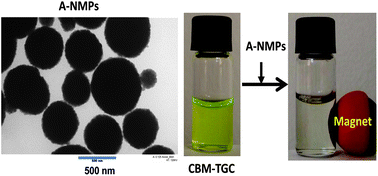 Graphical abstract: Recyclable cellulose-containing magnetic nanoparticles: immobilization of cellulose-binding module-tagged proteins and a synthetic metabolon featuring substrate channeling