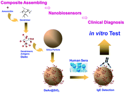 Graphical abstract: Dendrimeric antigen–silica particle composites: an innovative approach for IgE quantification