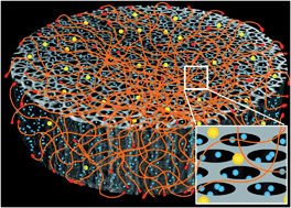 Graphical abstract: Bacteriophage associated silicon particles: design and characterization of a novel theranostic vector with improved payload carrying potential