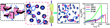 Graphical abstract: Using metal–ligand interactions to access biomimetic supramolecular polymers with adaptive and superb mechanical properties